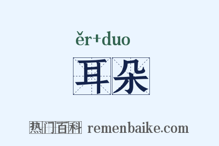 耳朵是什么意思的图片